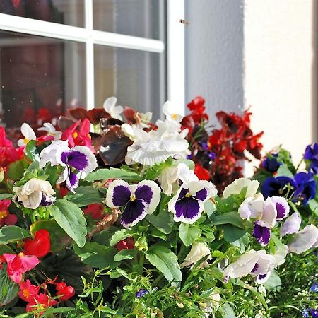 Lemongrove House Bed and Breakfast Enniscorthy Exterior foto
