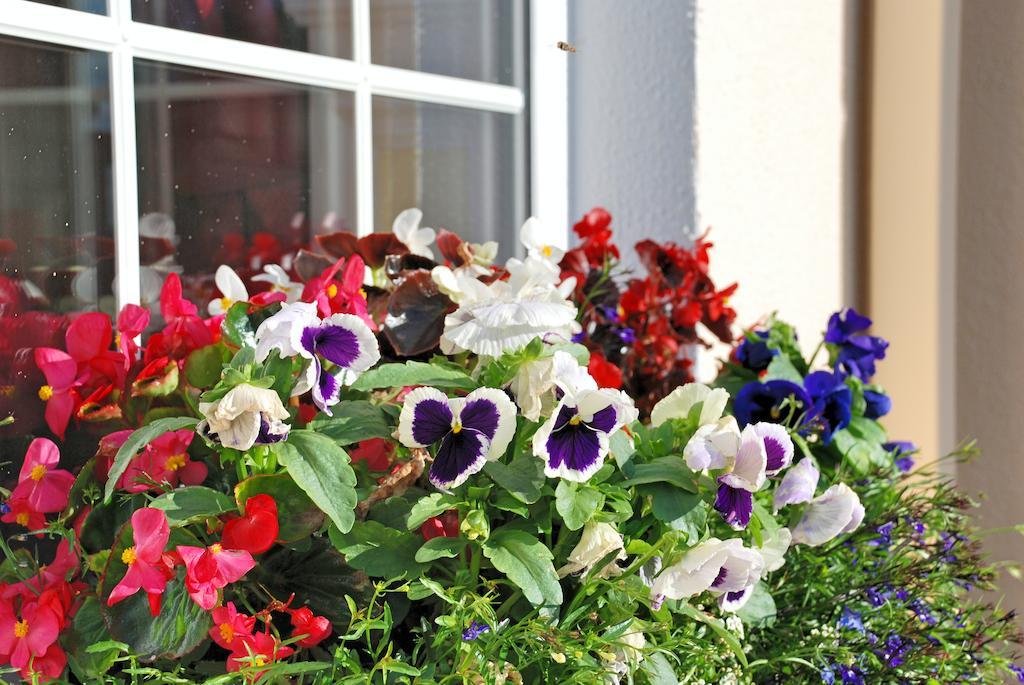 Lemongrove House Bed and Breakfast Enniscorthy Exterior foto